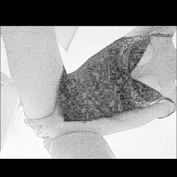 Profilo di Guilhaine