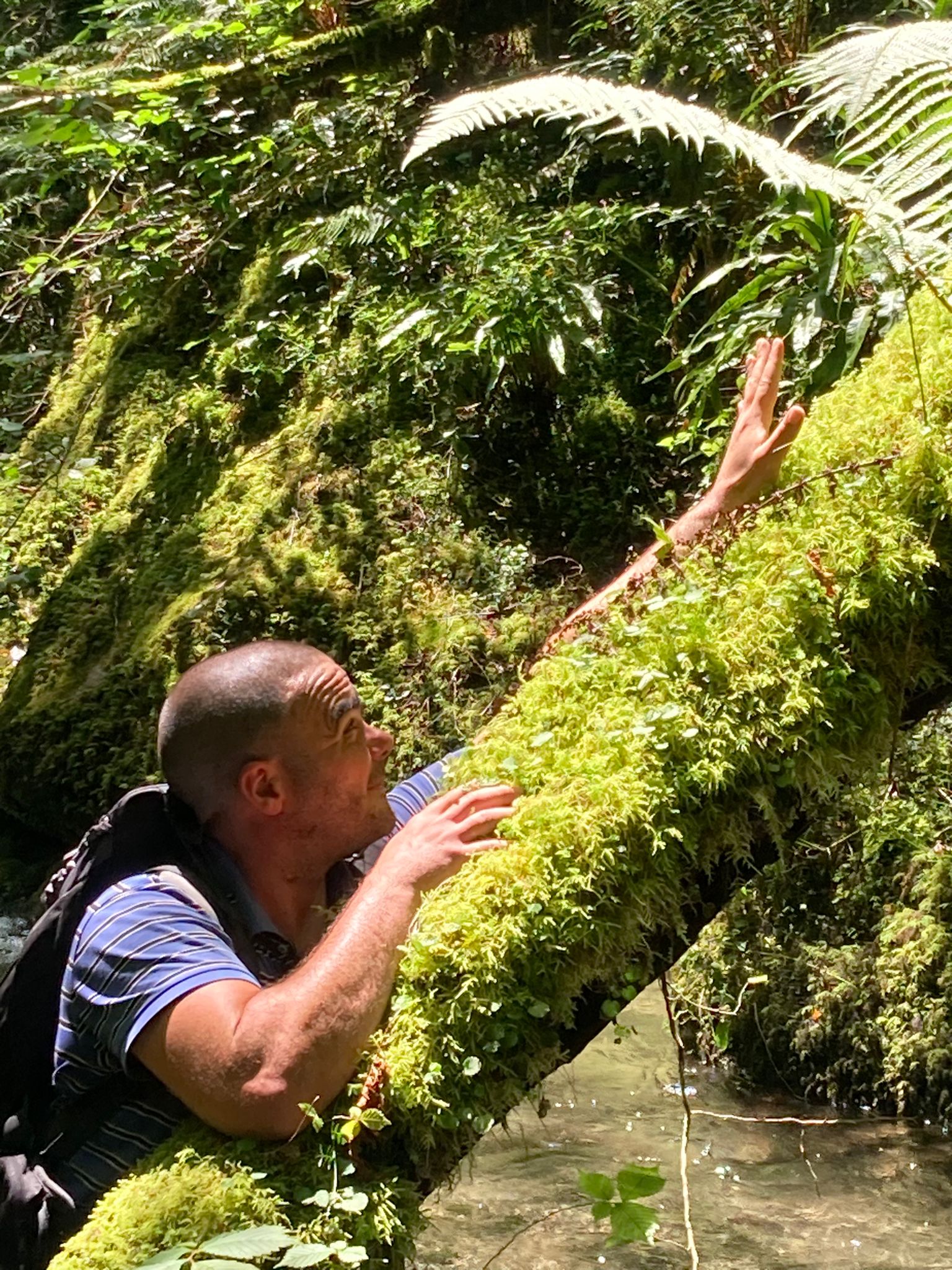 Profilo di Boumedien