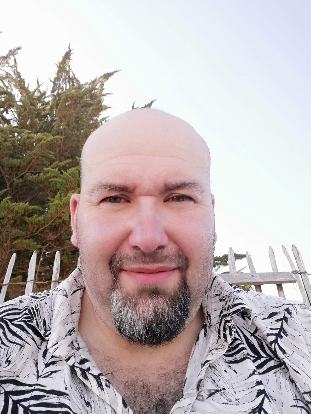 Profilo di Saifeddine